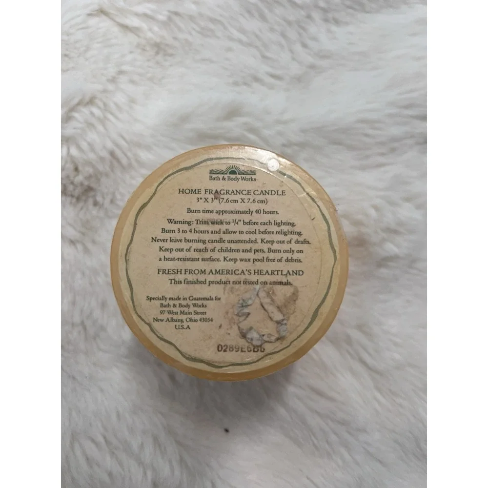 Vintage 90's Bath & Body Fresh Cantaloupe Single Wick Candle New Sealed Mint